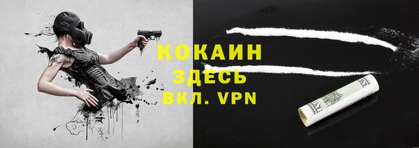 a pvp Горняк