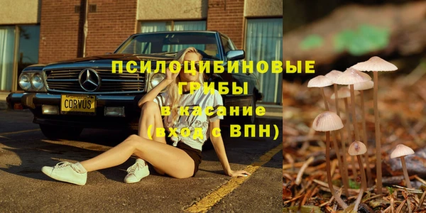 марки lsd Горно-Алтайск