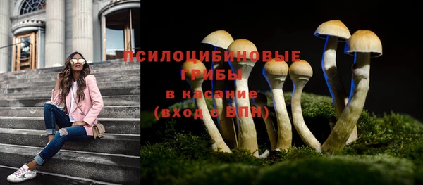 винт Горнозаводск